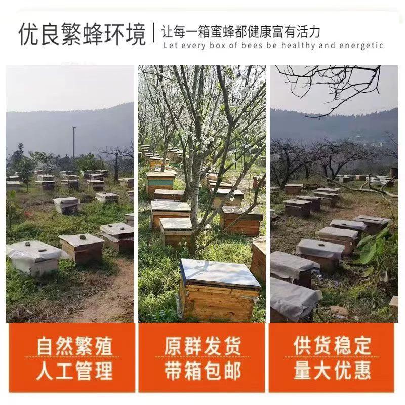f6b674be-071e-460a-a743-18c5dd33016d.jpg