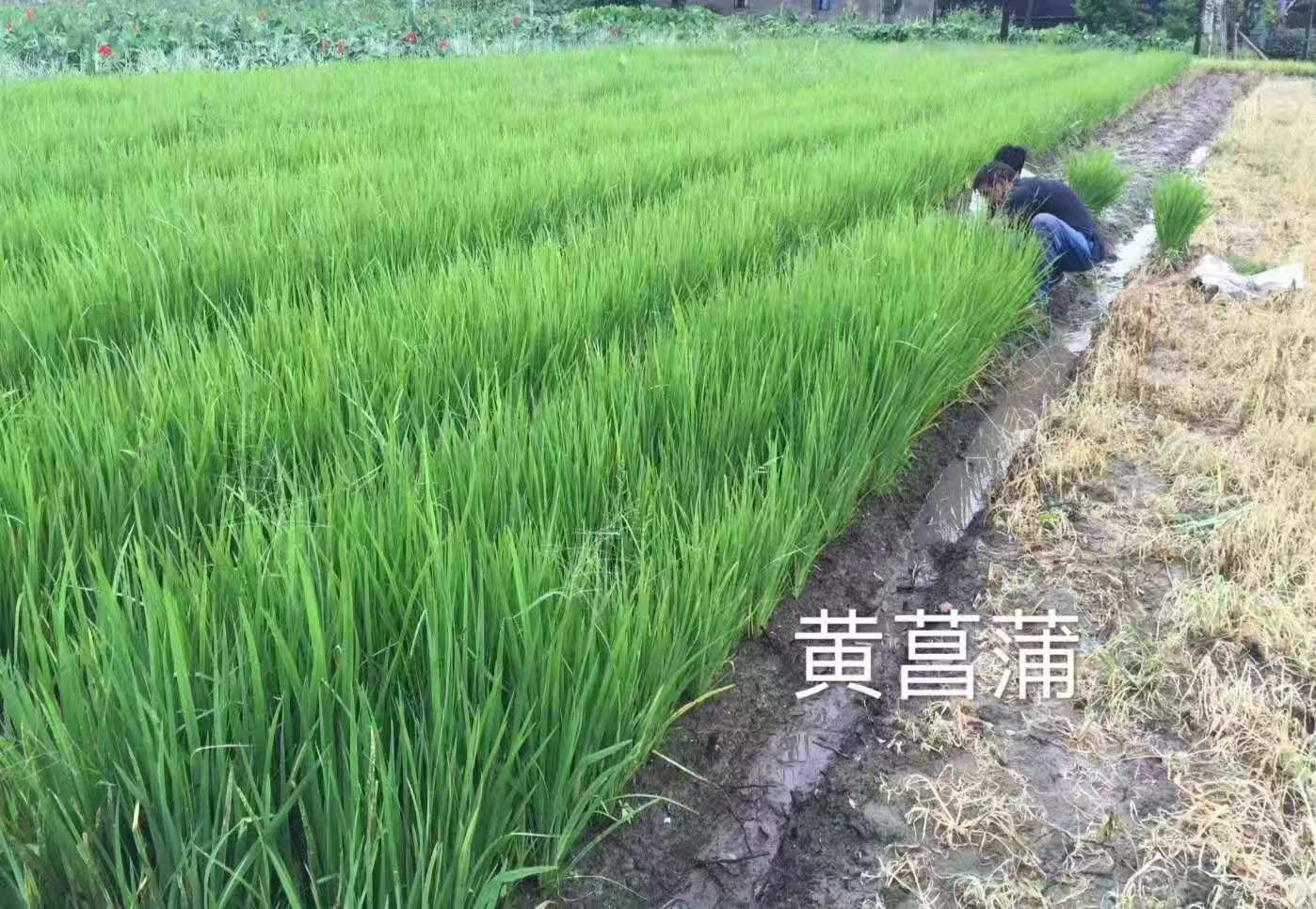 �ļ����̿�����ʹ�Ӧ�̽�������ѡ�絽������ص�ʵ�òο�