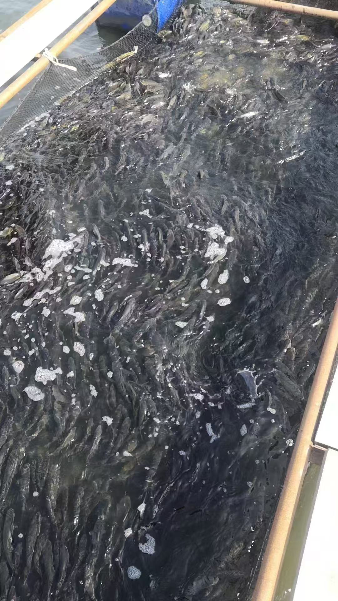 微信图片_2026-03-24_093041_817.jpg