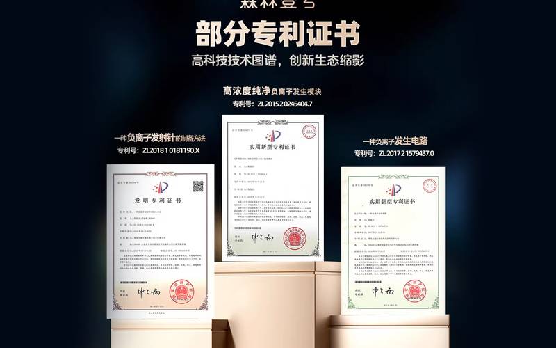 森林壹号负离子国家科技证书.jpg