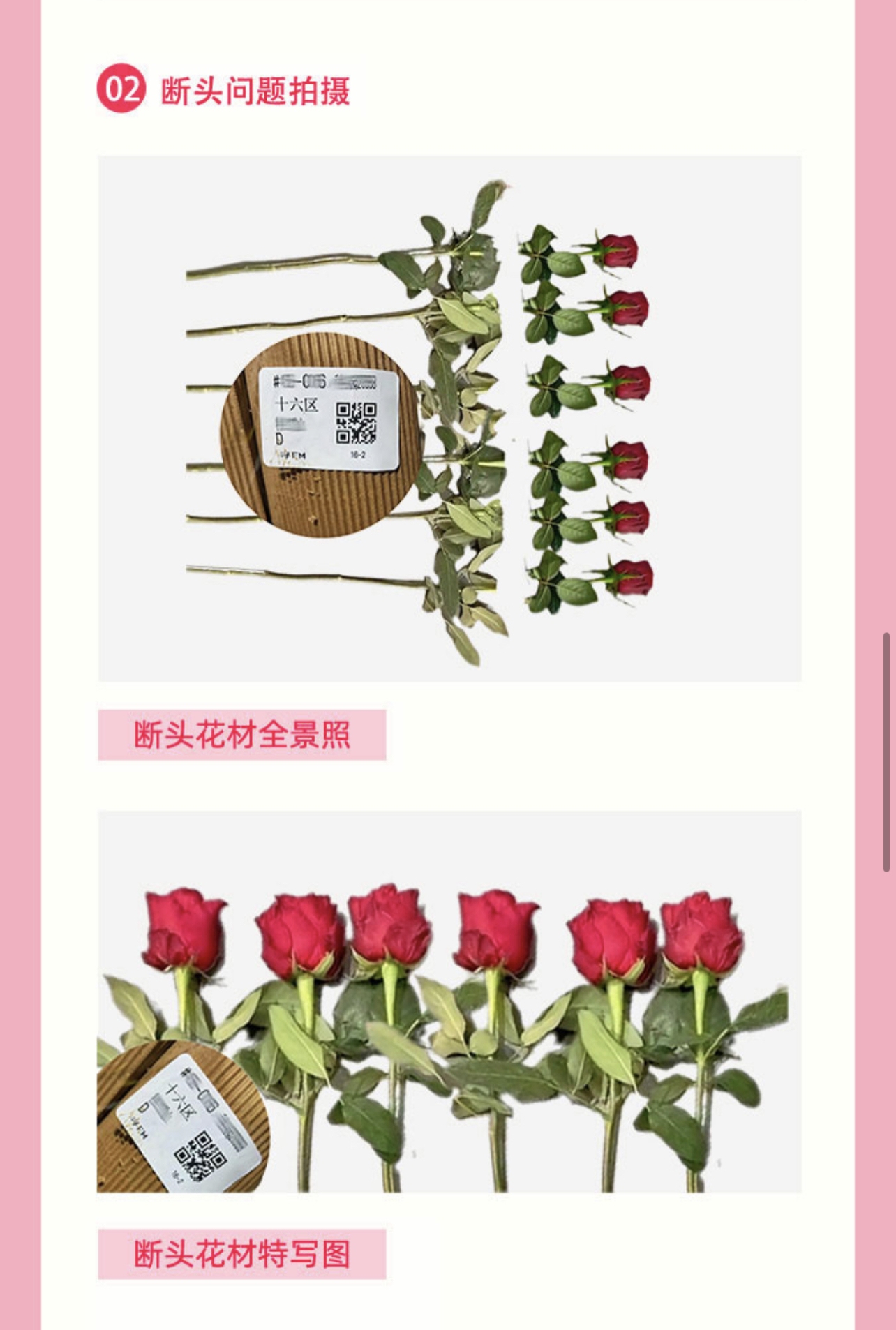 2026年中花店进货实力商家联系方式：源头直采与经营避坑指南