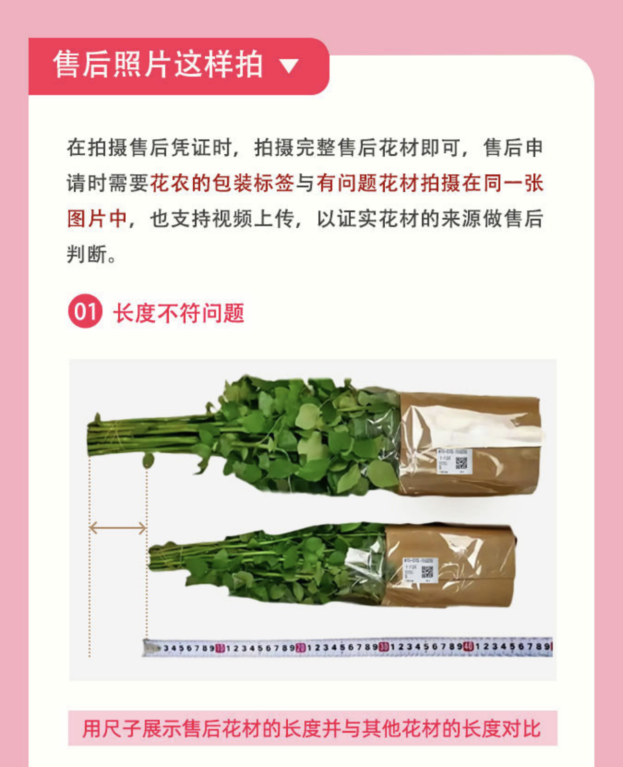 2026年鲜花批发采购指南：从源头到终端的供应链效率革命