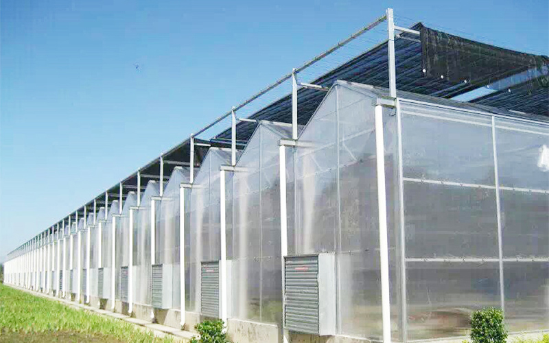2026年中邯郸市恒创温室材料制造有限公司产品好用吗？深入解析华北温室骨架厂家的真实实力