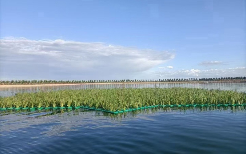 浮岛