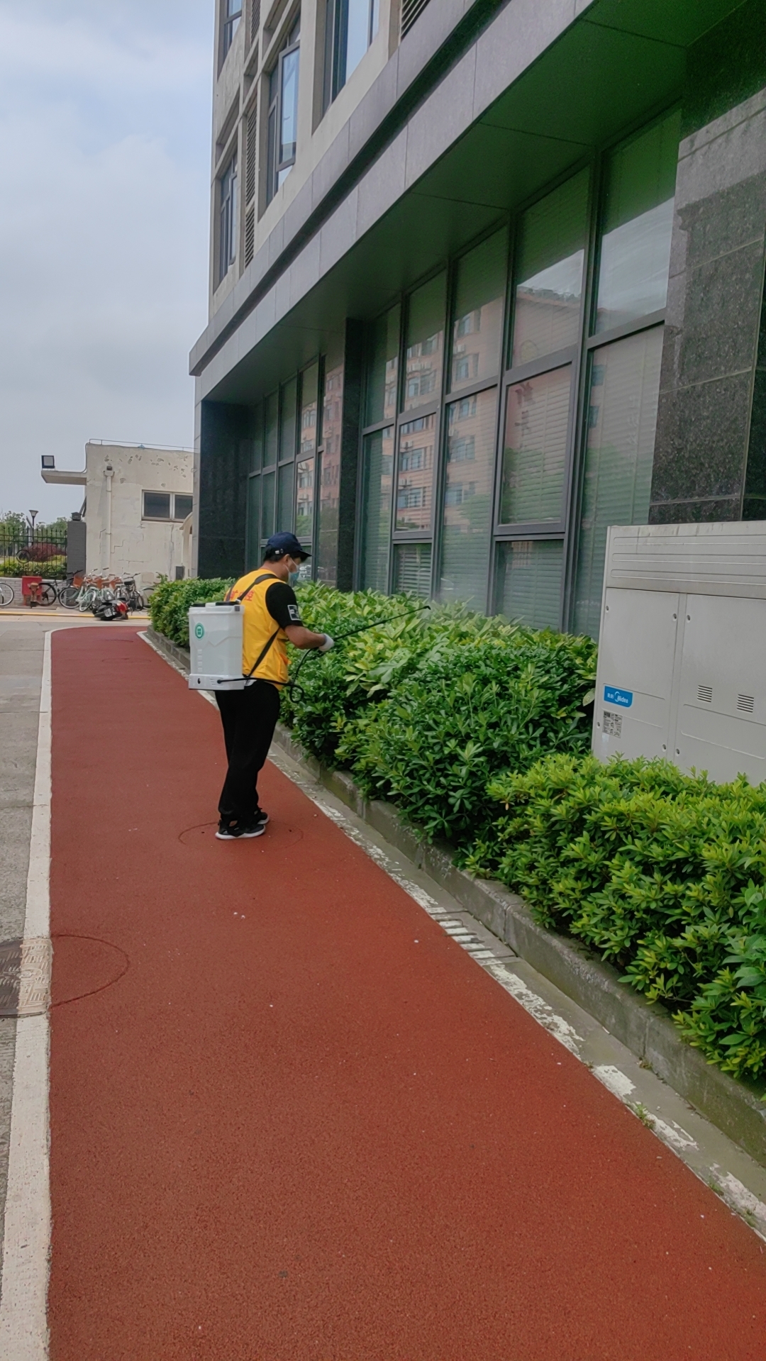 厂区绿化带消杀