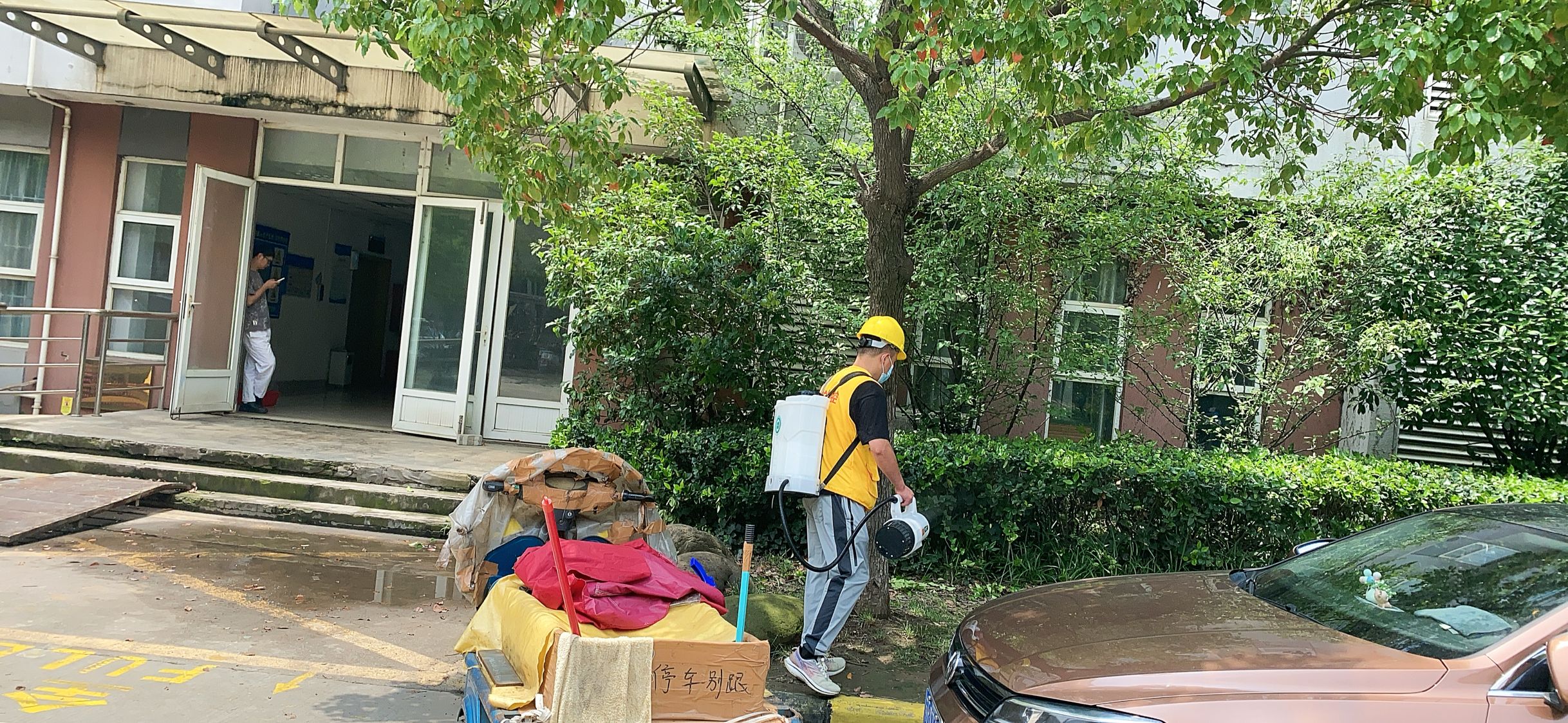 厂区绿化带消杀