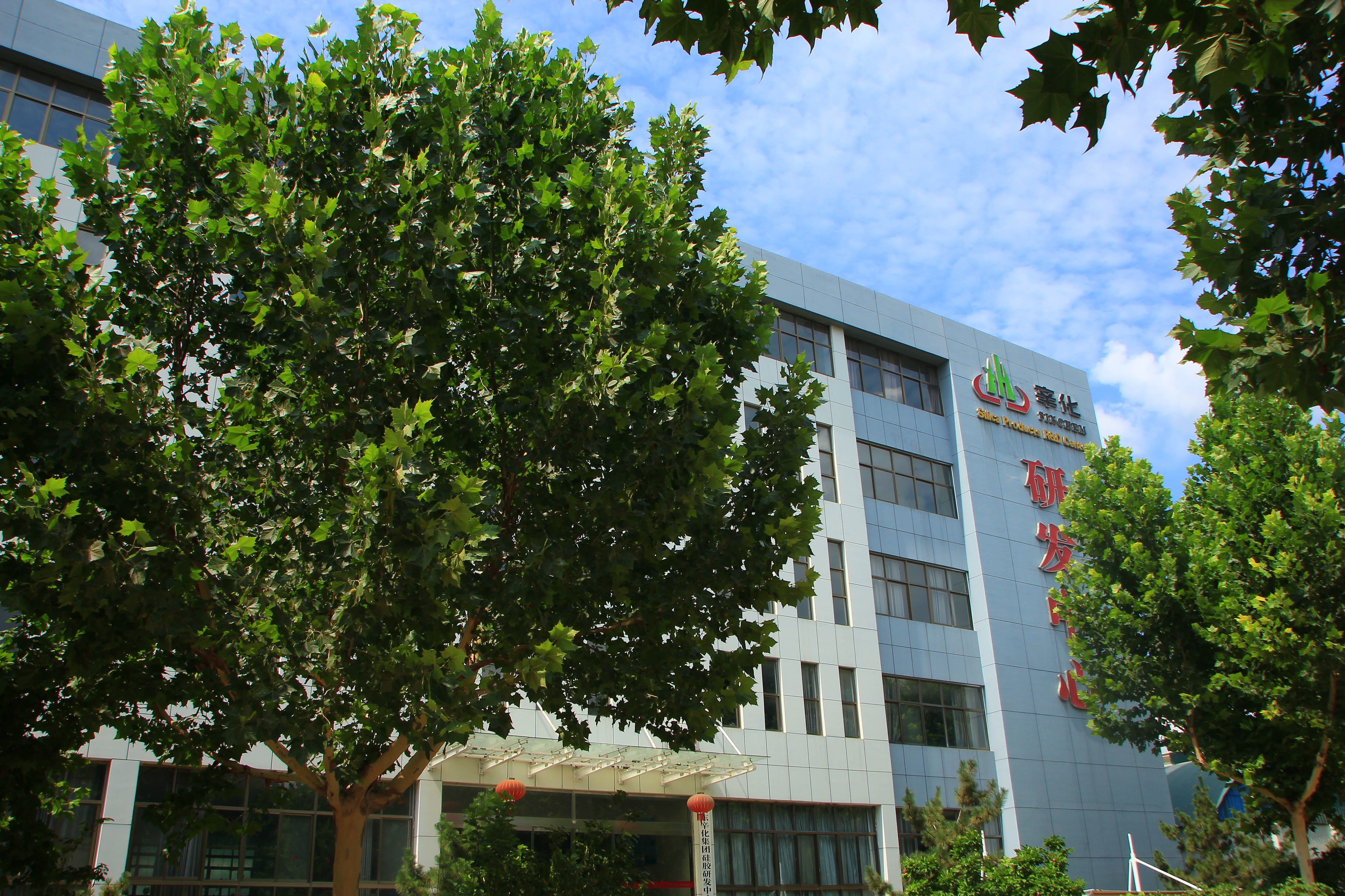 辛化厂区3.JPG