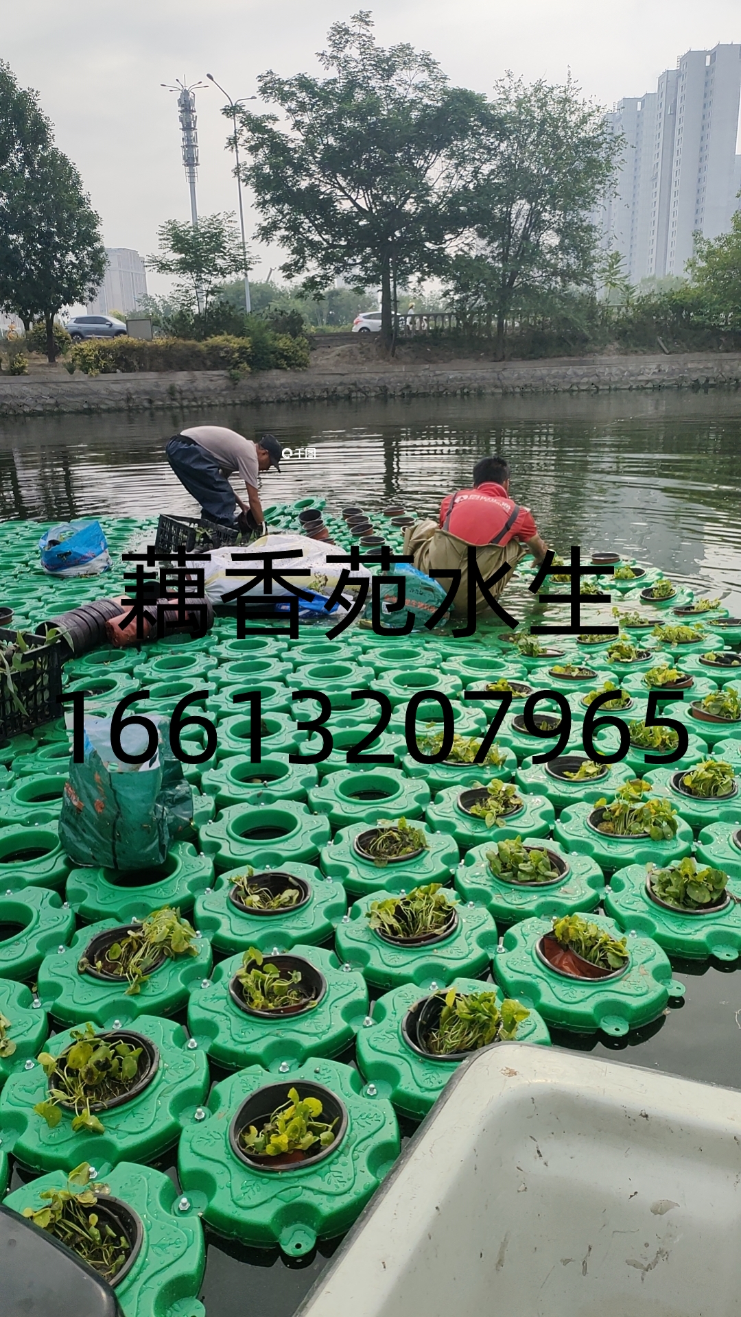 微信图片_20260316145839_149_874.jpg