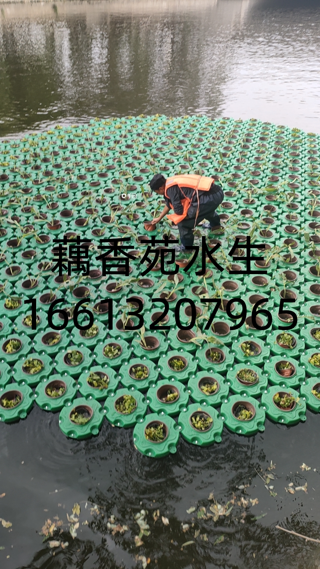 微信图片_20260316145837_147_874.jpg