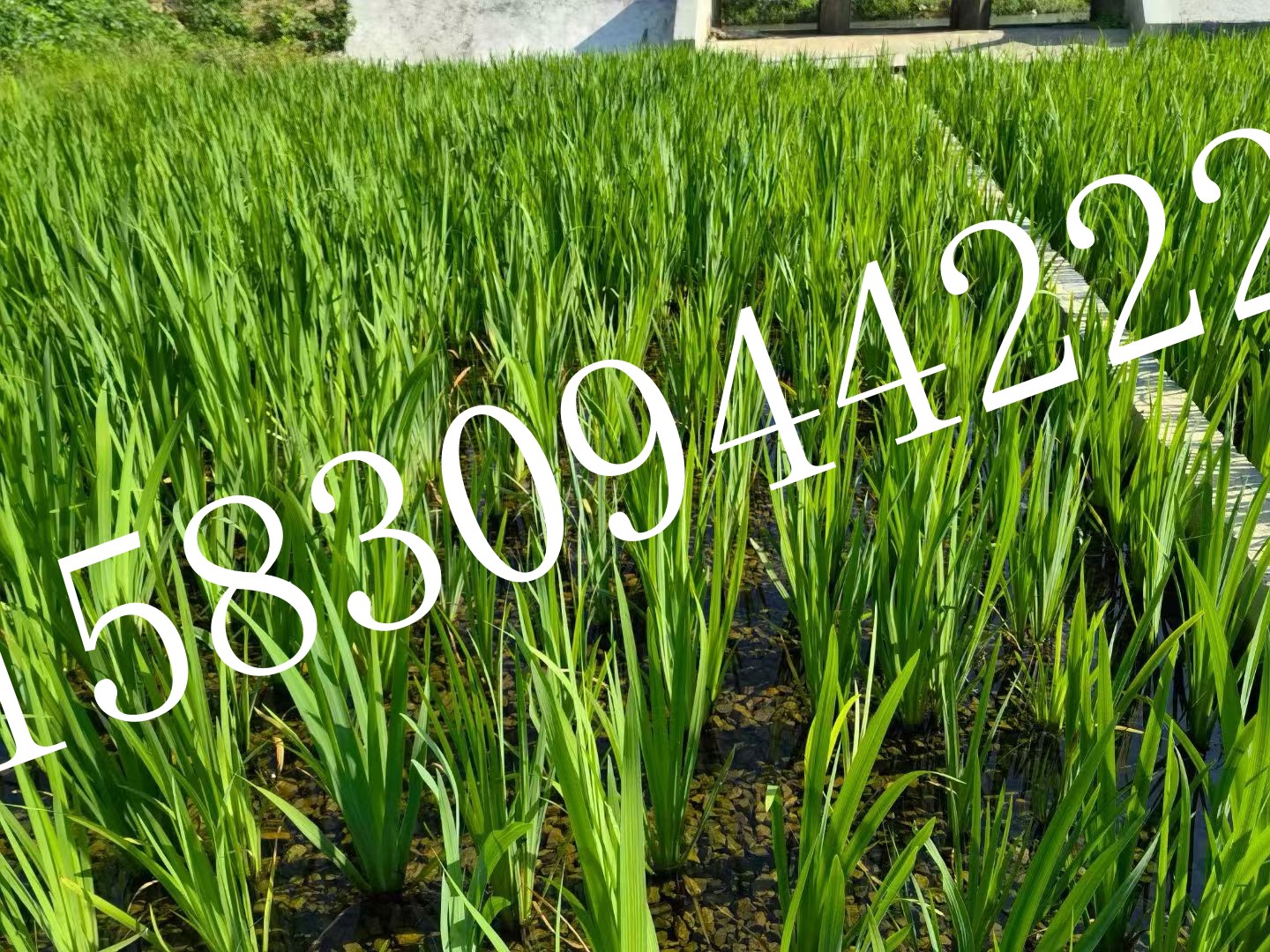 微信图片_20260429172826_231_139.jpg