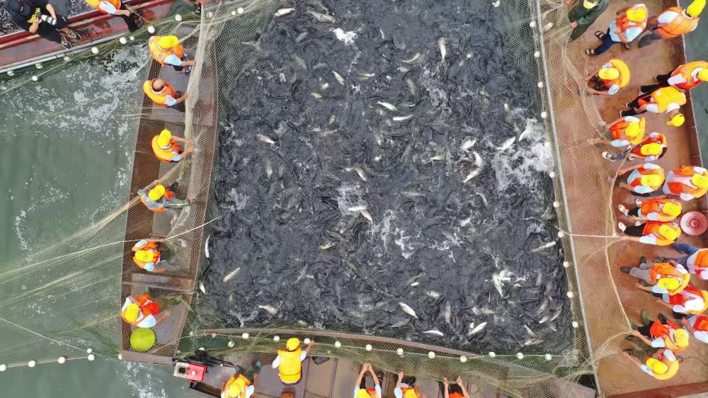 微信图片_20260421102642_861_57.jpg