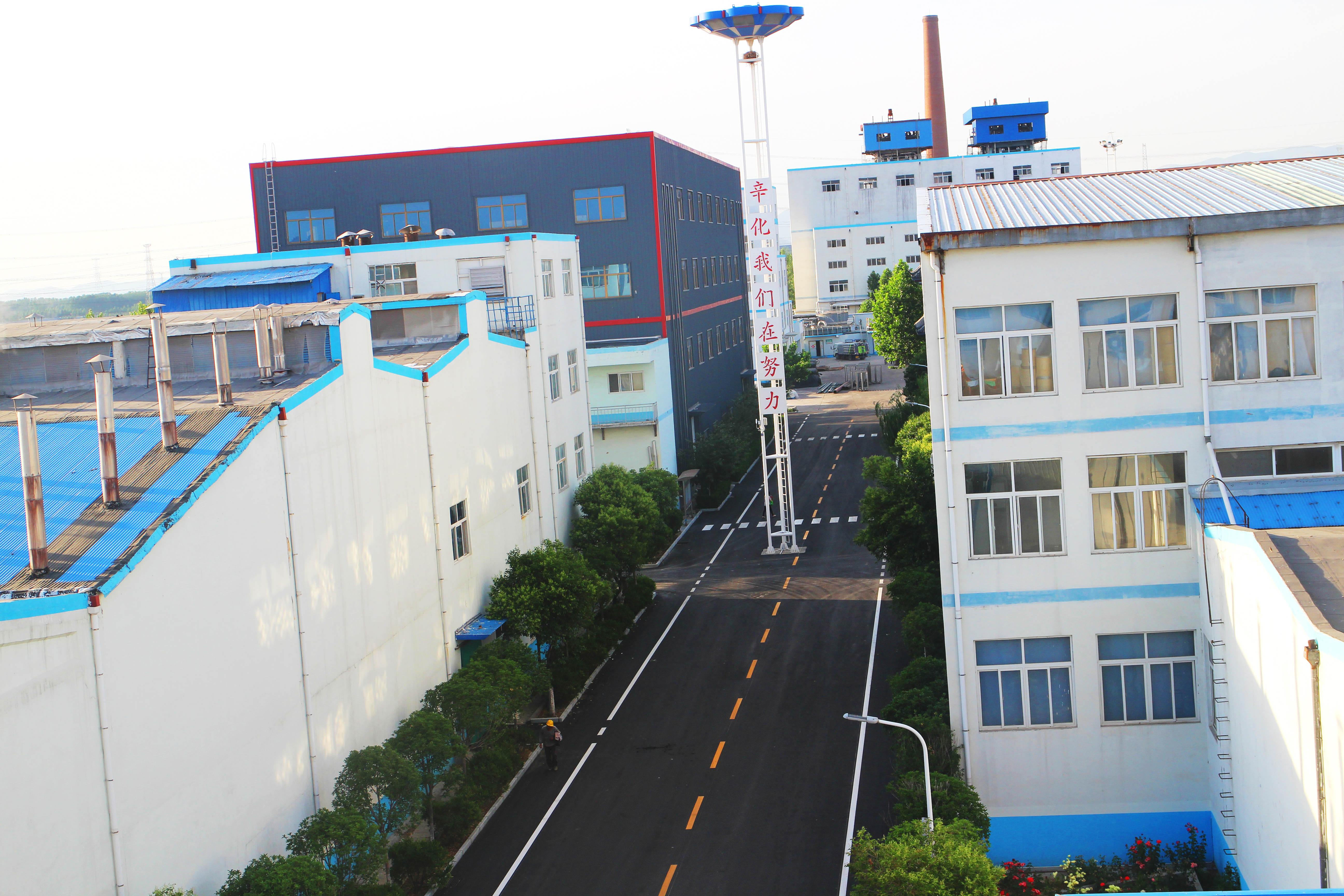 辛化厂区2.jpg