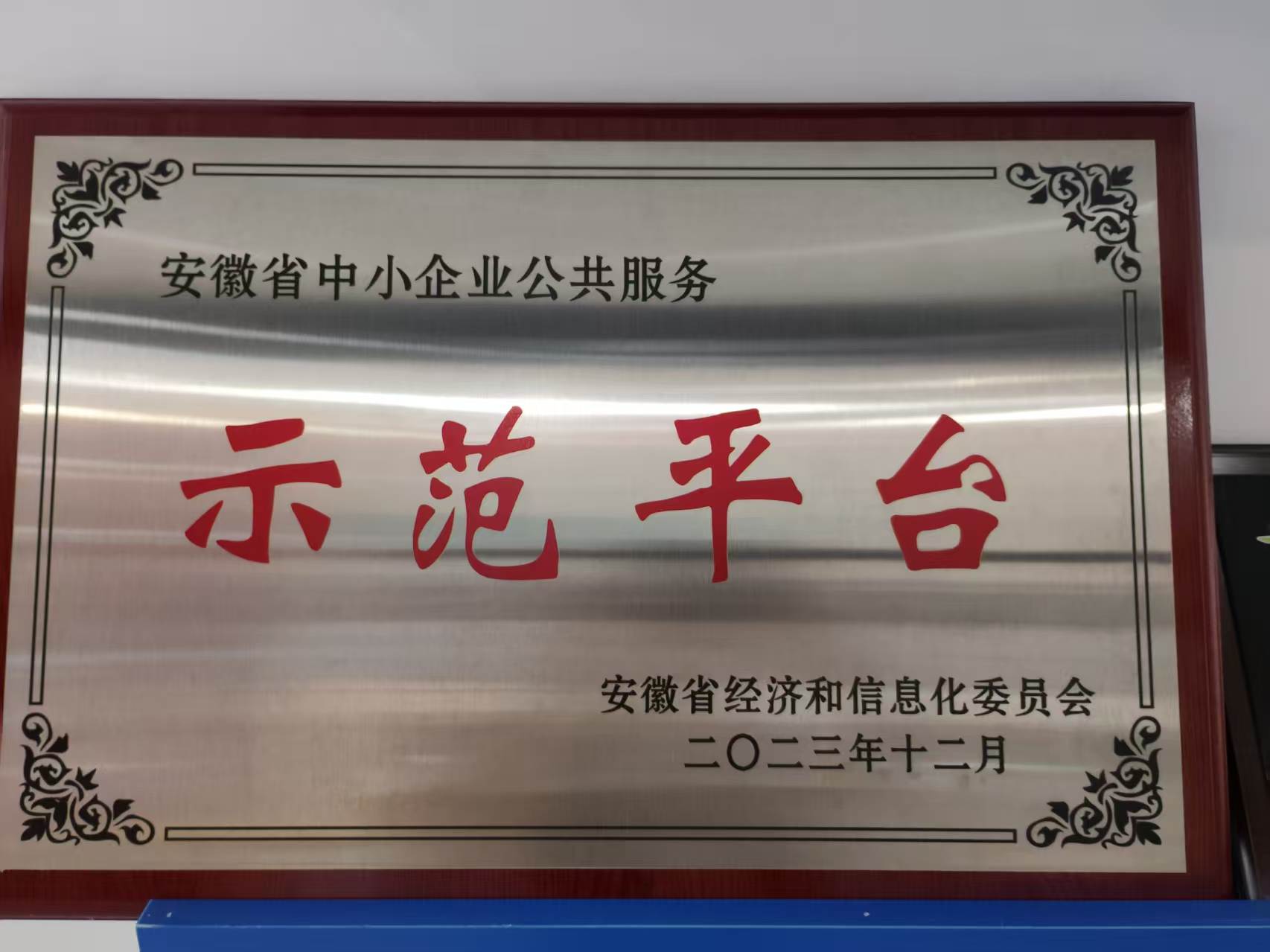 示范