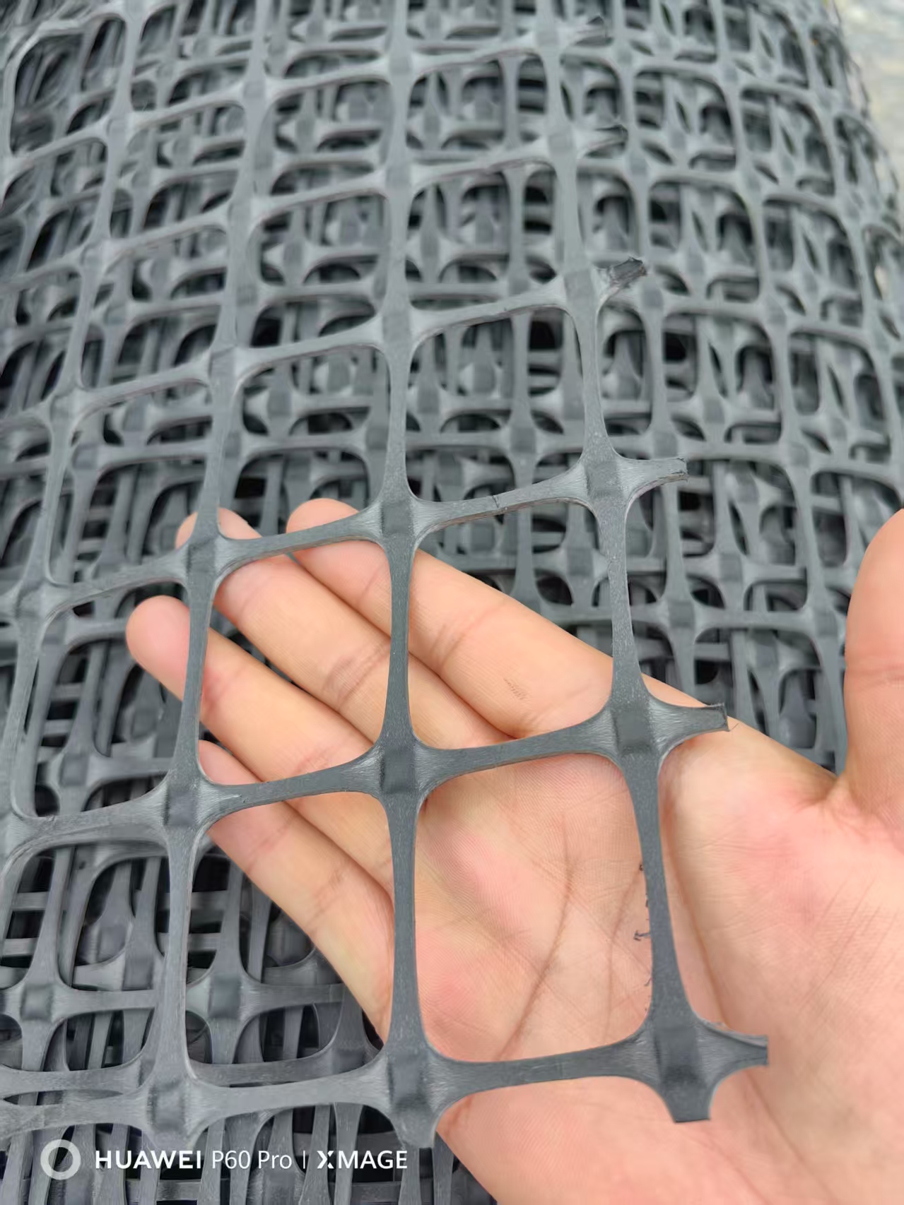 e3564ff2-3fcc-48d0-802e-bfbb42a376b3.jpg