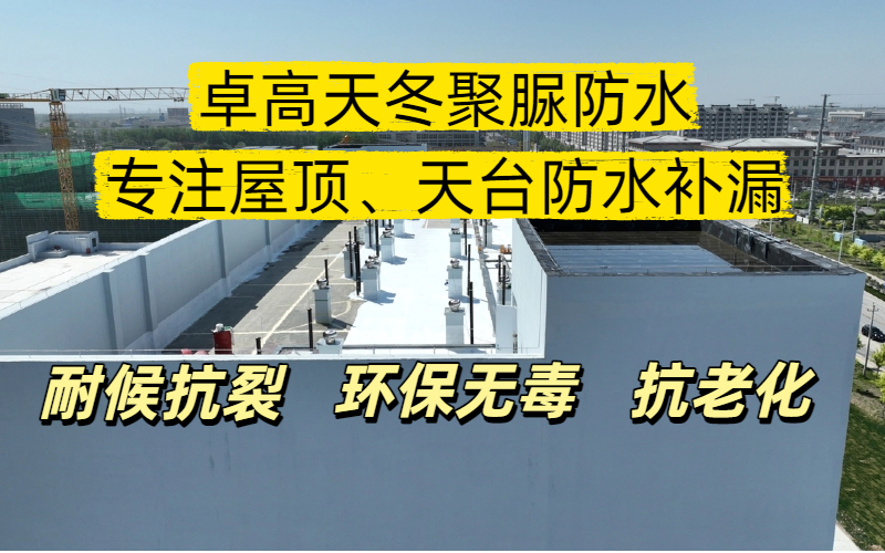 卓高天冬聚脲防水修缮1