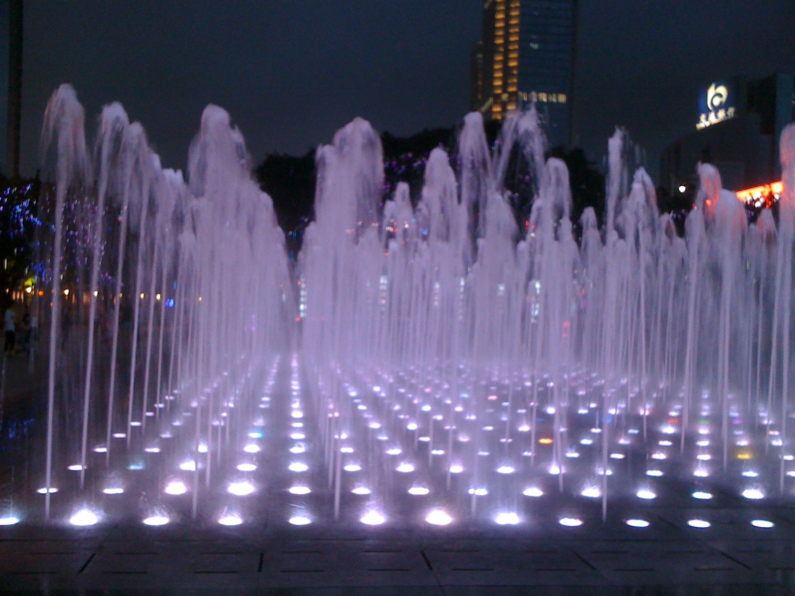 微信图片_2026-05-09_161215_263.jpg