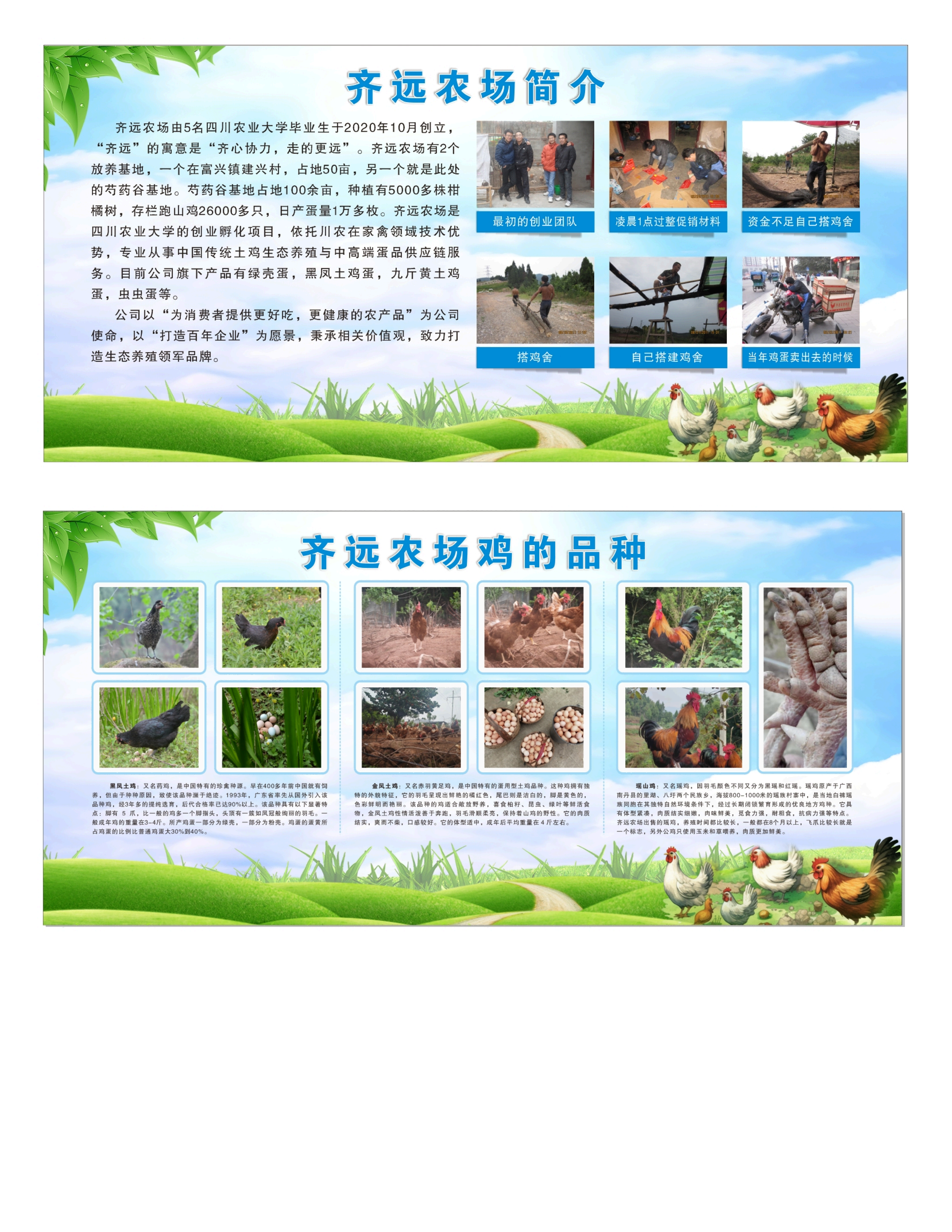 齐远展板_1_01.png