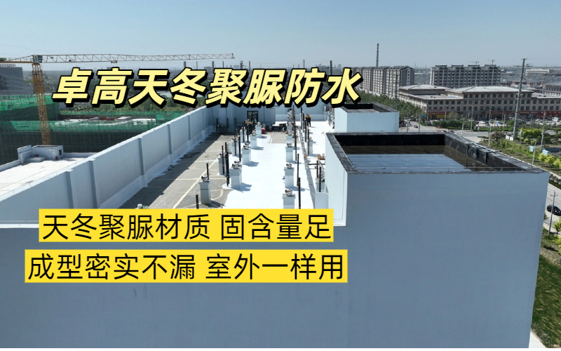 2026年防水维修实力企业推荐：卓高天冬聚脲为何成为修缮市场新标杆