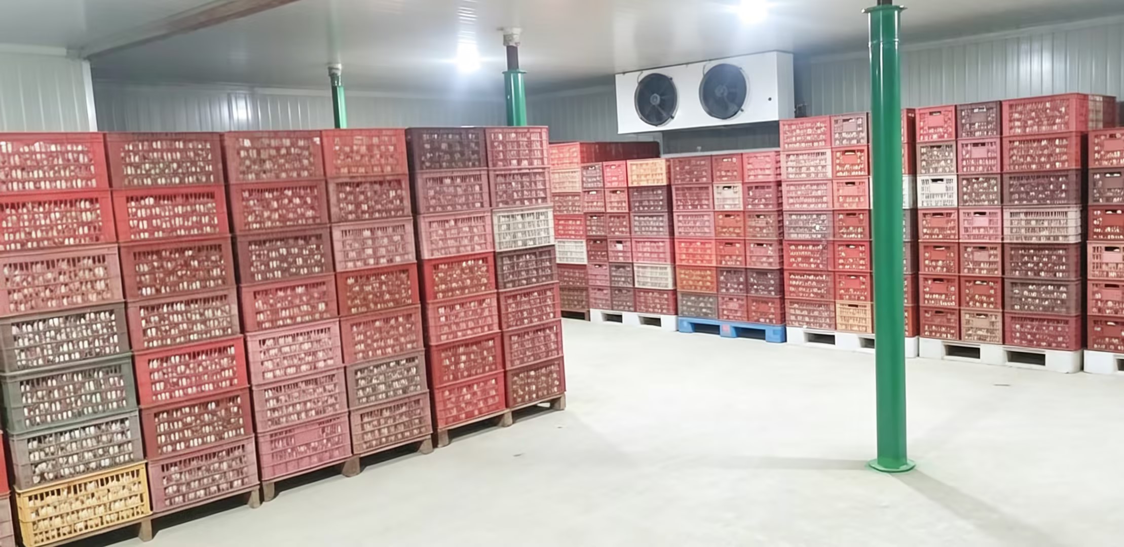 2026年周边手工皮蛋推荐，认准源头工厂直供的庭羽禽蛋