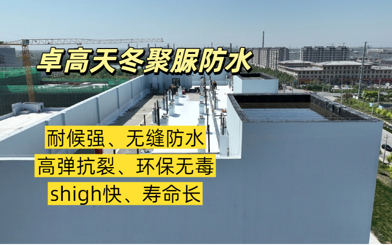 2026优选：天冬聚脲防水服务团队实力甄选指南