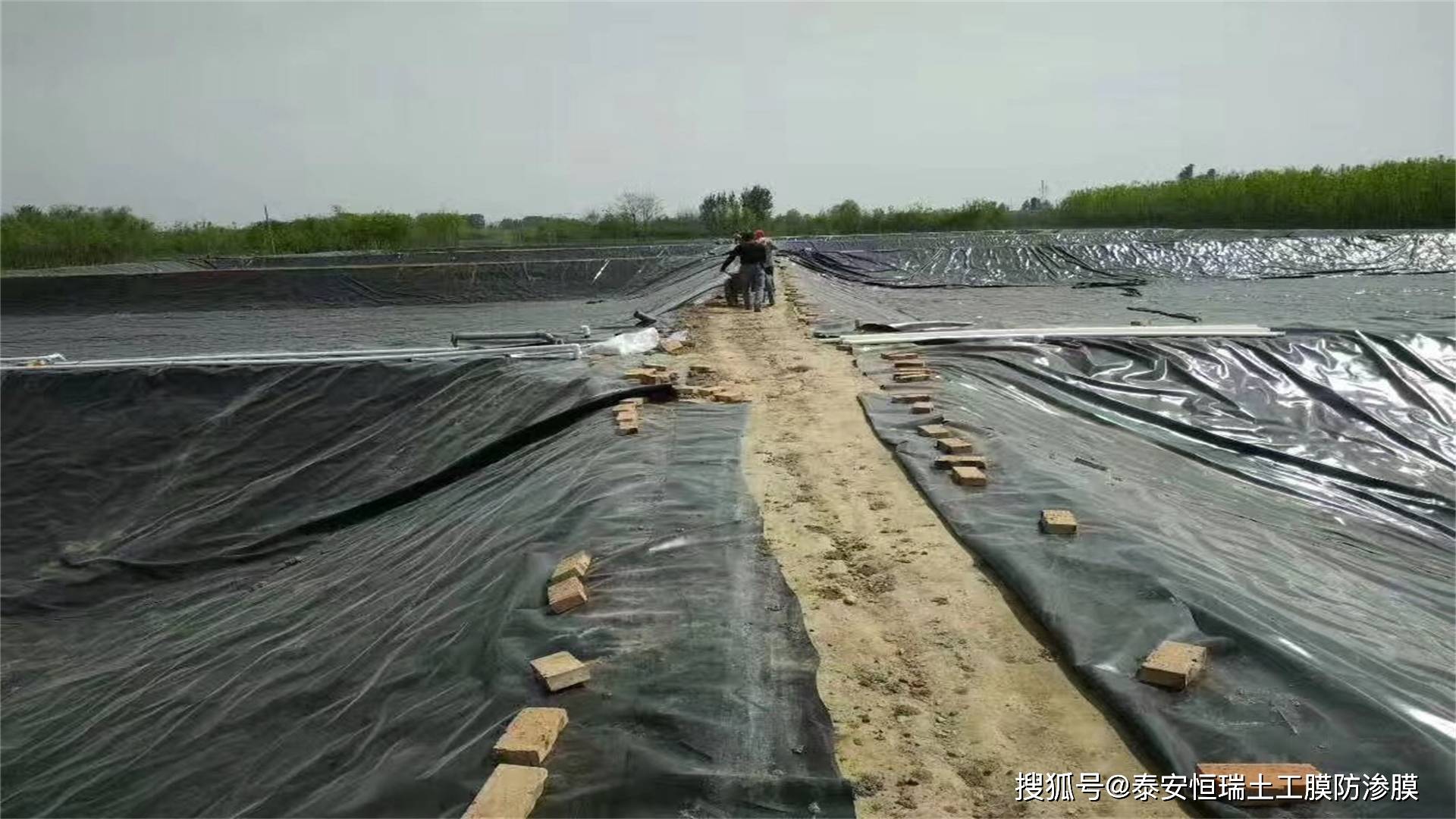 2026年口碑好的防草盖草布生产商：山东建通土工材料深度解析