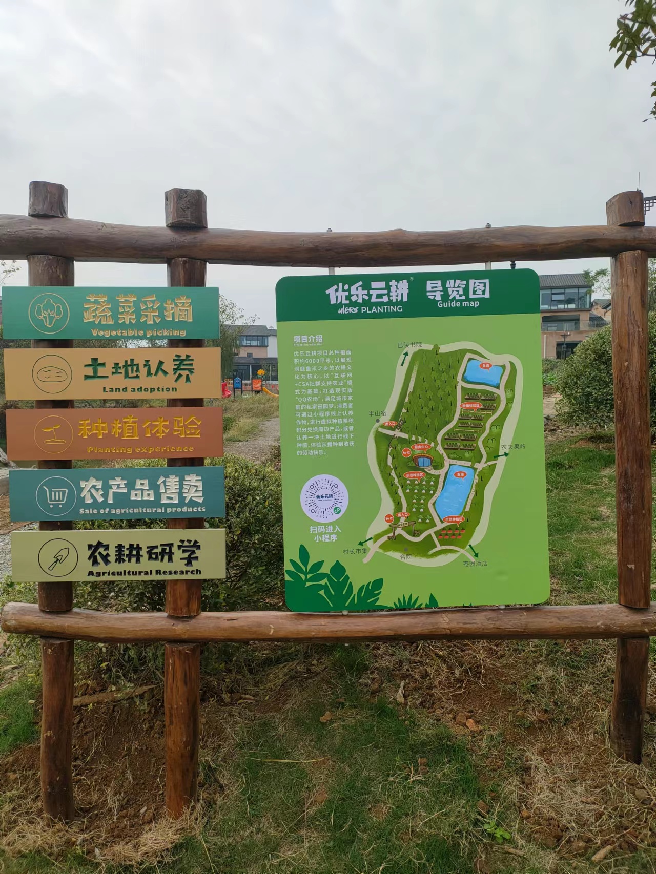 59.jpg