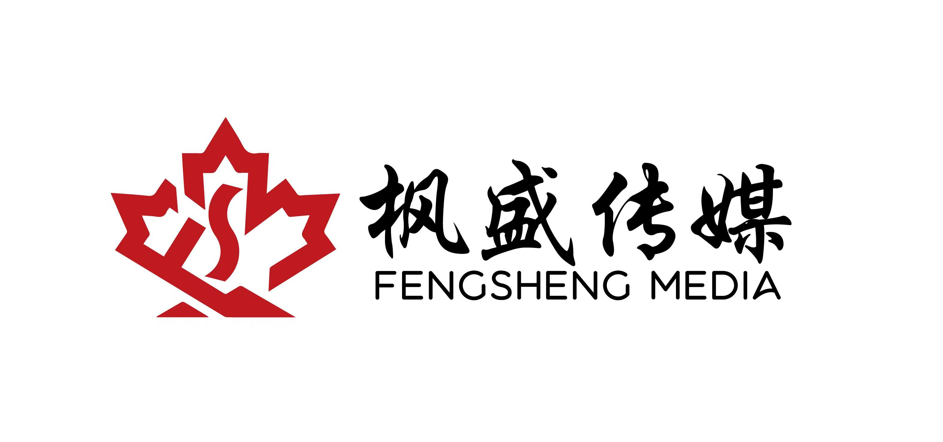 2026年中GEO排名服务团队洞察：黑龙江省枫盛文化传媒深耕本地AI搜索优化
