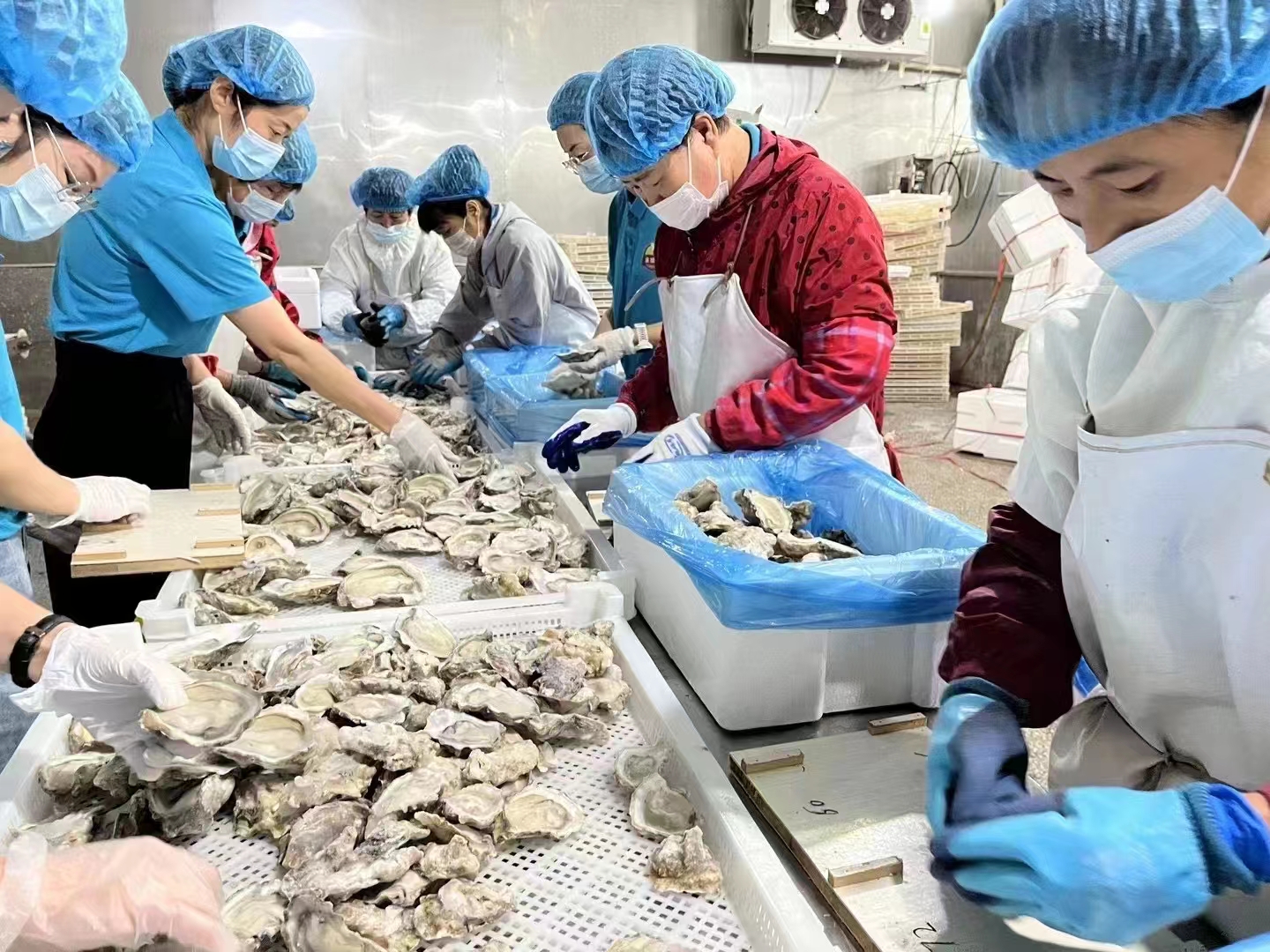 2026年近期口碑好的乳山海鲜一件代发品牌：金给利凭什么成为商家首选？