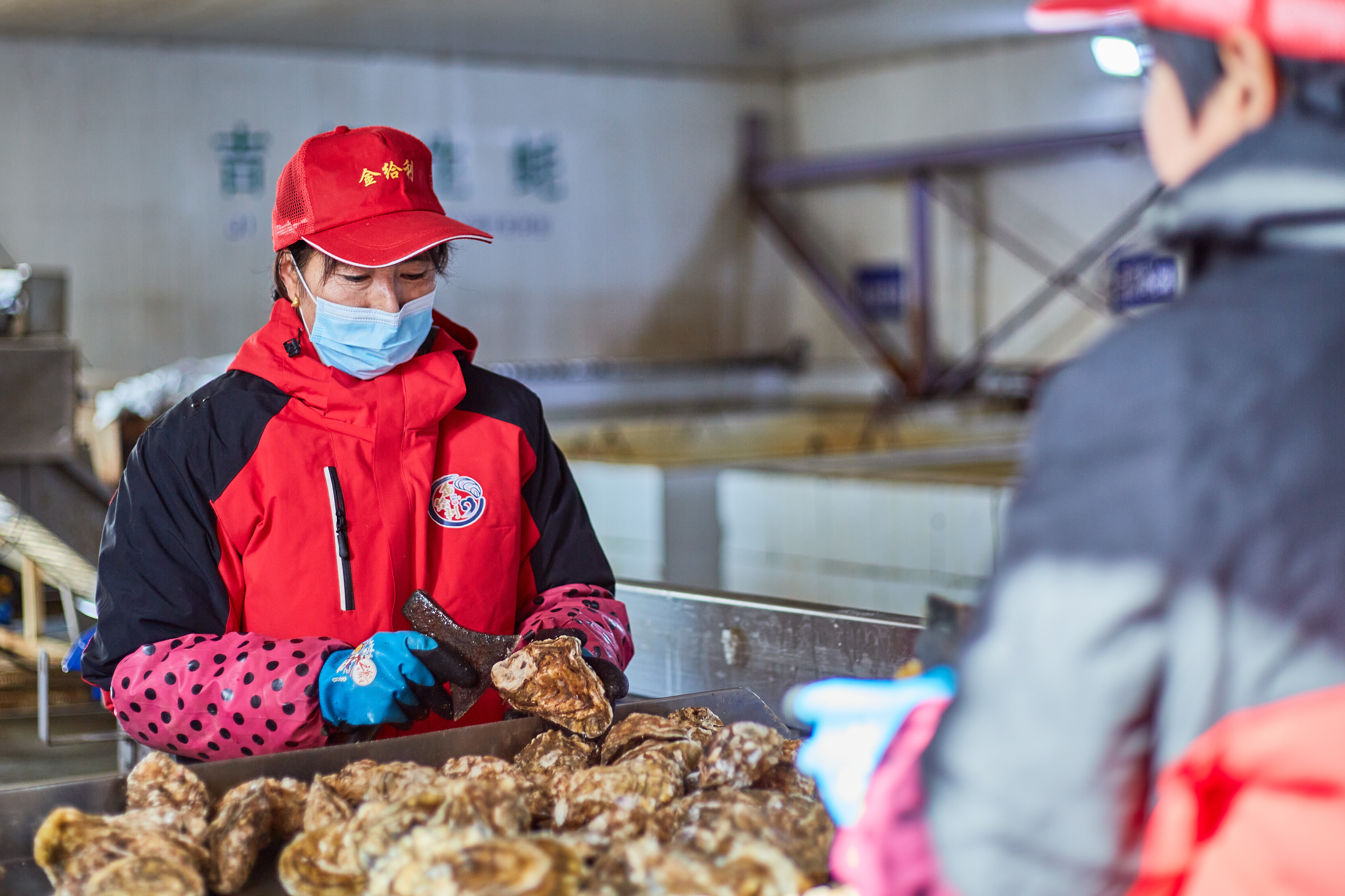 2026年高品质乳山生蚝电商供应商：从源头到餐桌的供应链价值重塑