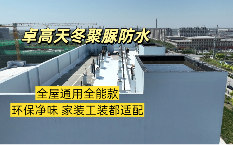 2026年天冬聚脲防水涂料服务商怎么选？这份深度解析值得一看