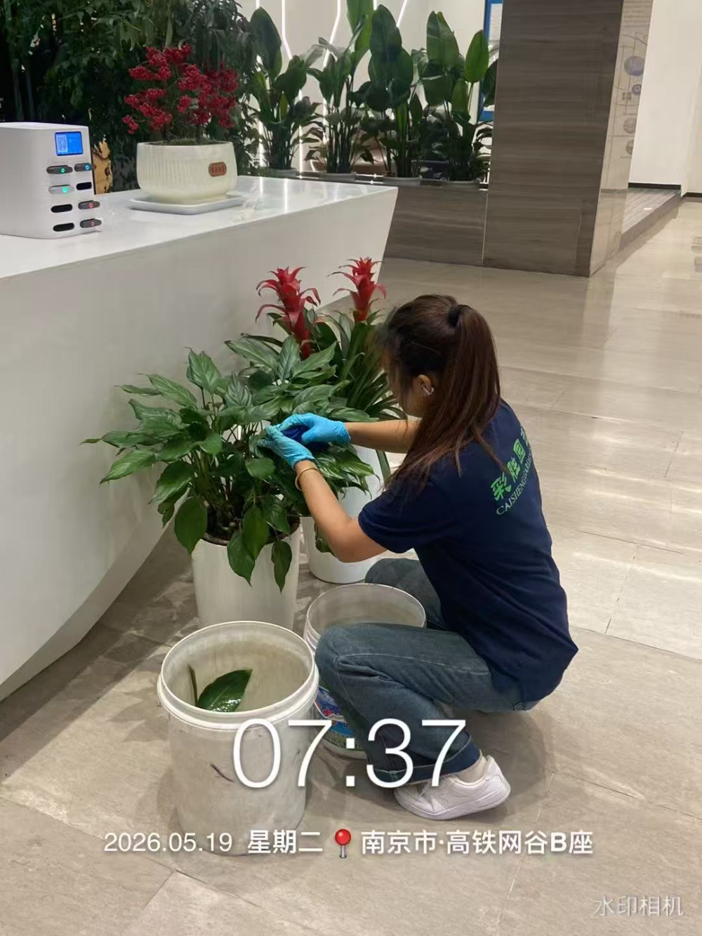 8efd552b3014d9da0b0435fbd991a90c - 副本 - 副本.jpg