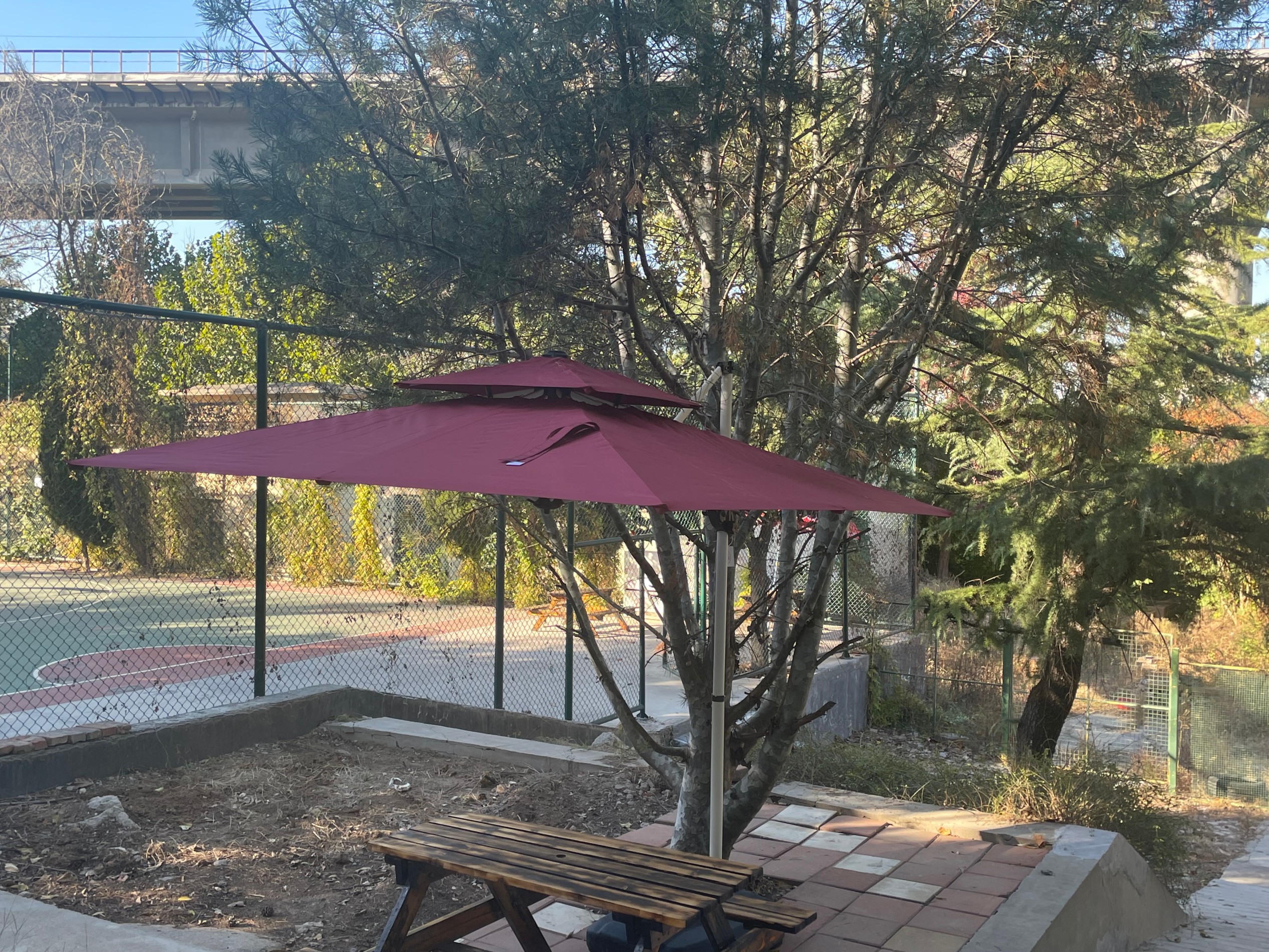 学校环境 (8).jpg