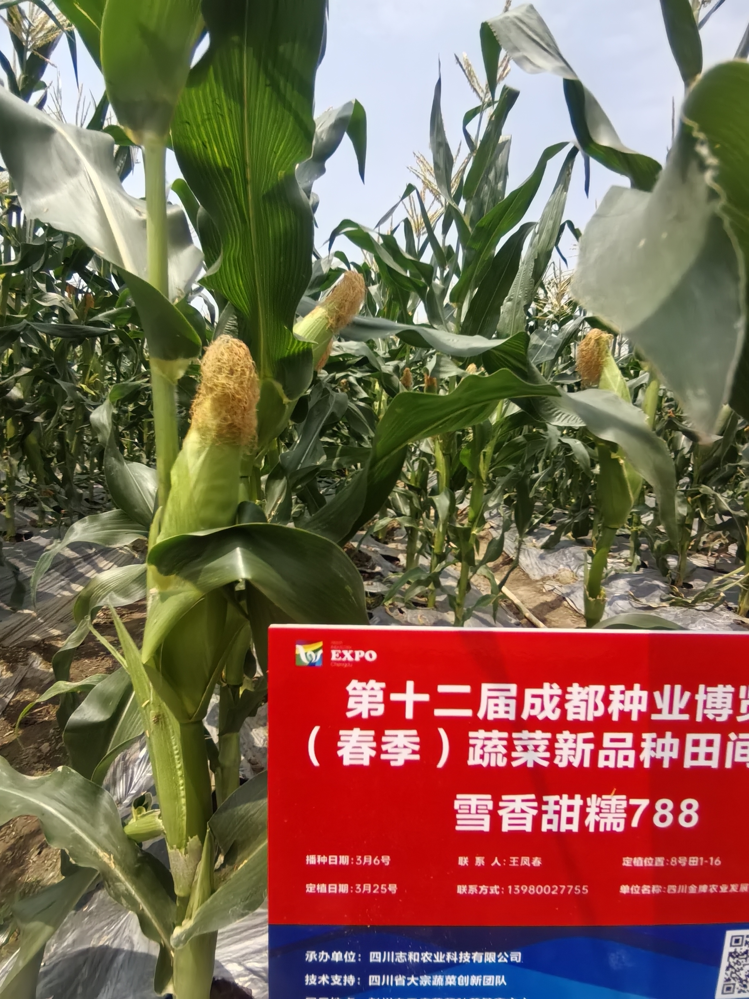 微信图片_20260606164259_882_423.jpg