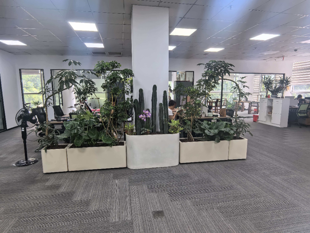 深耕南京十余年，一站式绿植租赁与园艺服务如何选对合作伙伴