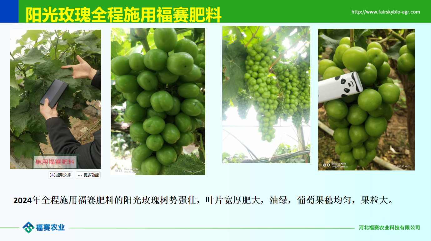 微信图片_20260601153355_669_5.png
