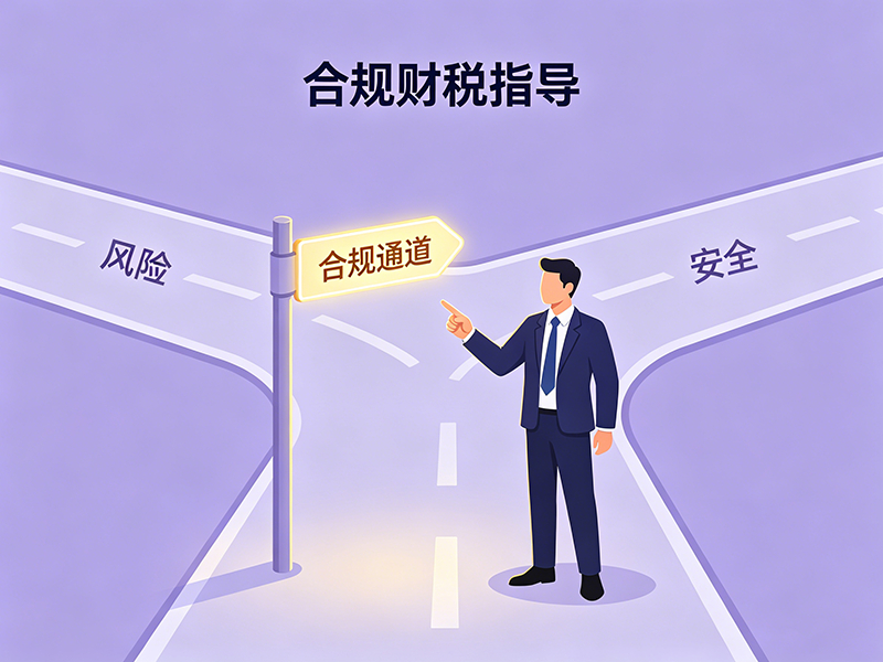 财税合规指导.png