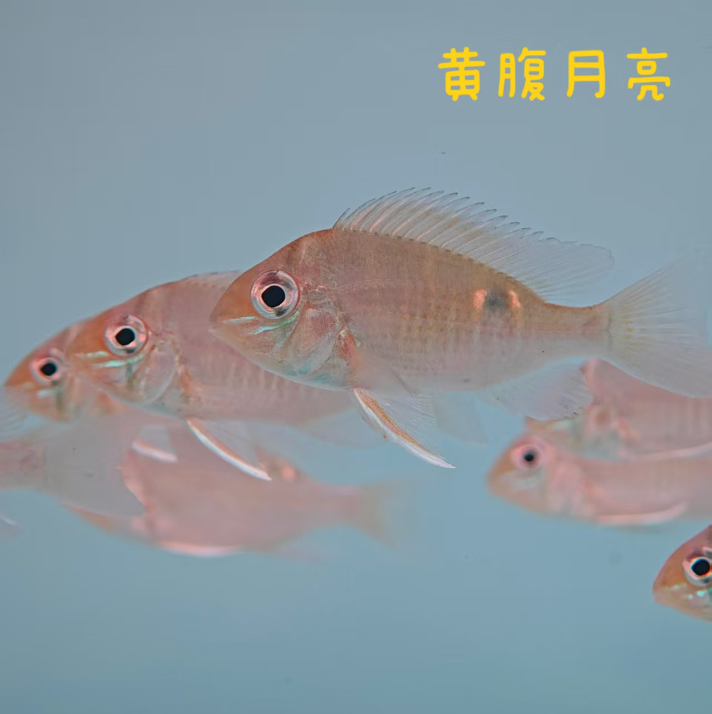 1aacd221-4194-4a7c-9202-fe4b8e1a9803.jpg