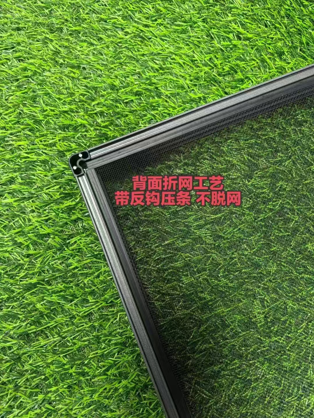 微信图片_20260630110126_36_40.jpg
