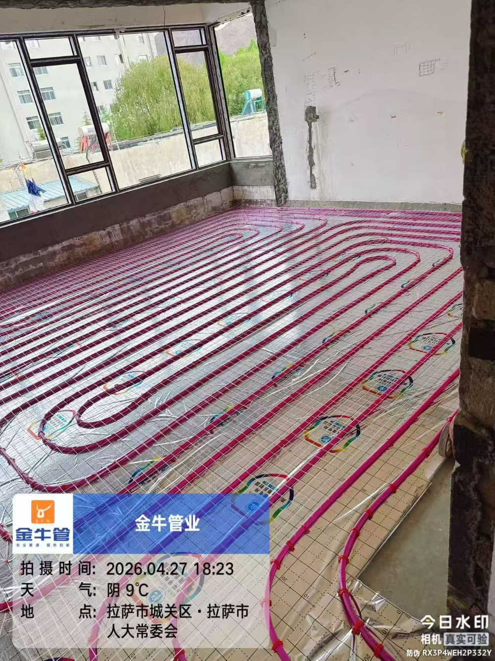 微信图片_20260629104827_66_17.jpg