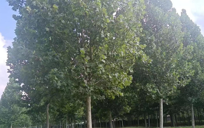 微信图片_2023072813471315.jpg