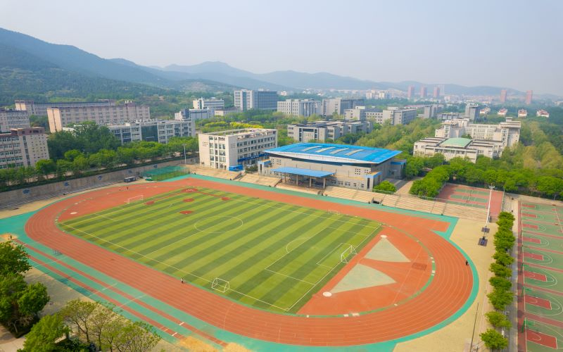 体育场.jpg