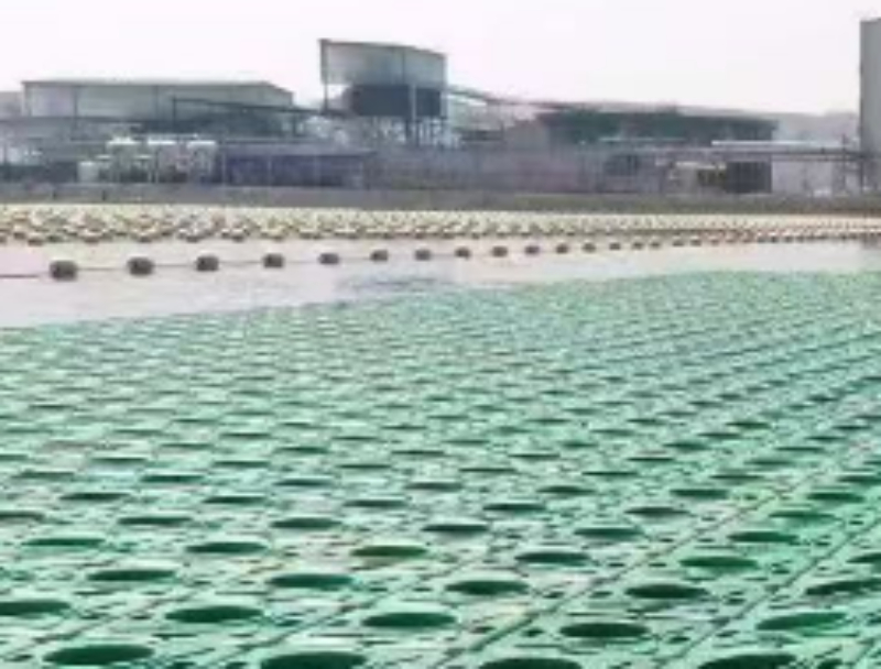 2026优选性价比高的湿地绿化工程批发：源头直供与全场景适配指南