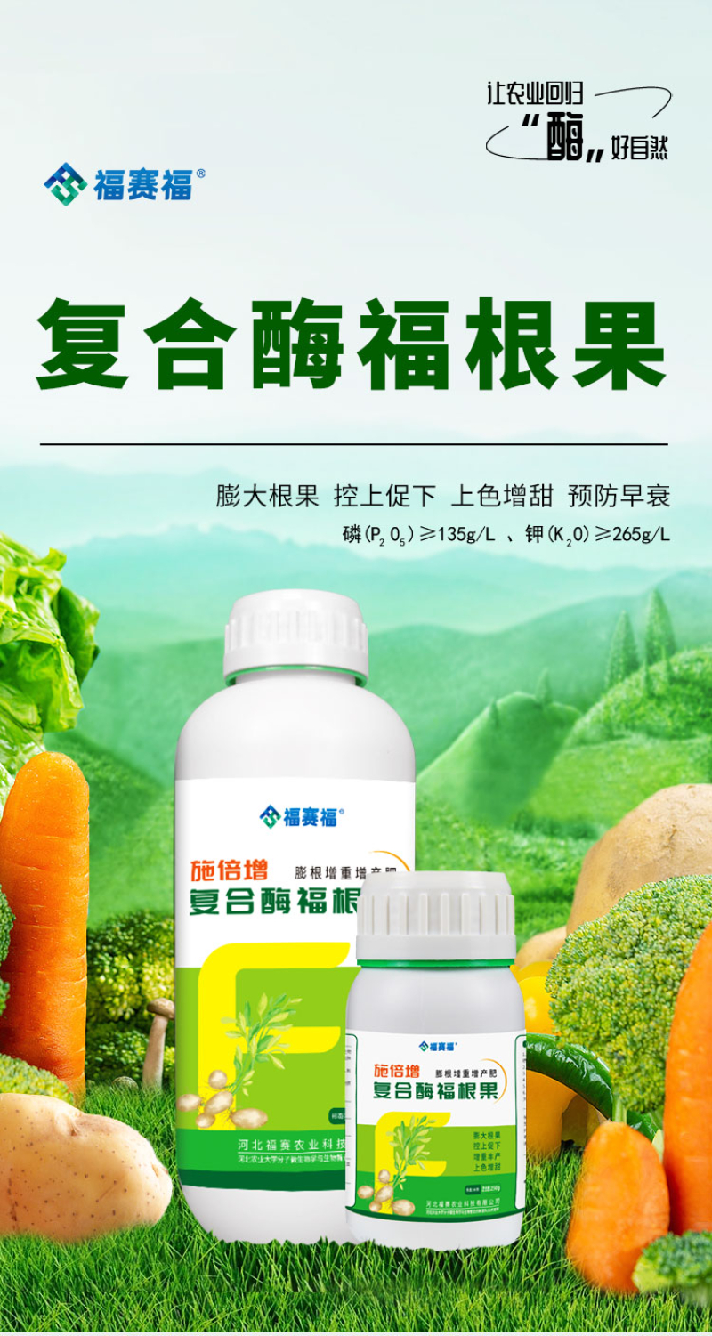 详情1.jpg