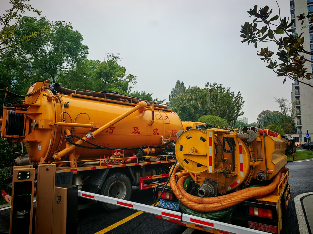 87317318-5e57-4401-a3cd-58e179b522f1.jpg