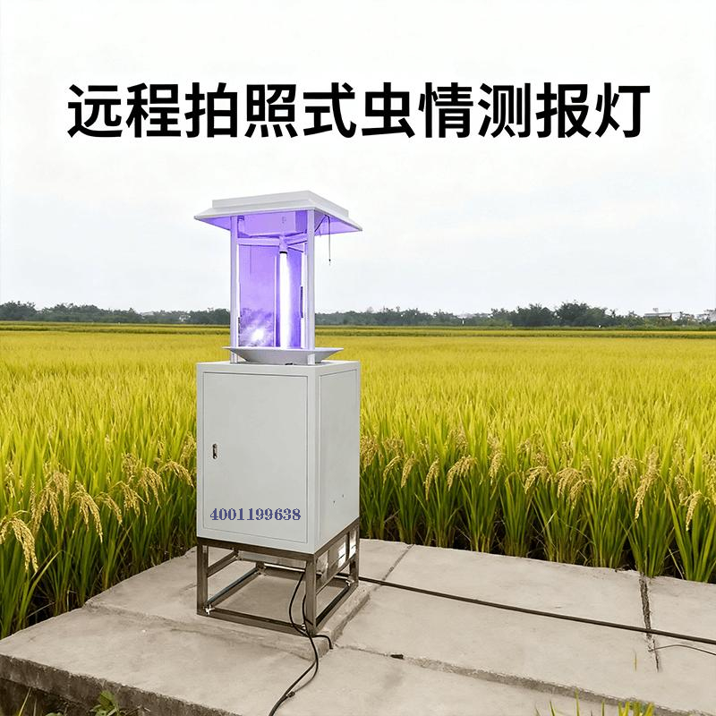 虫情站.png