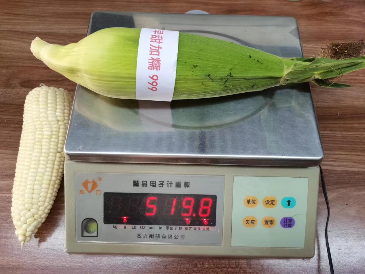 图片 36.png