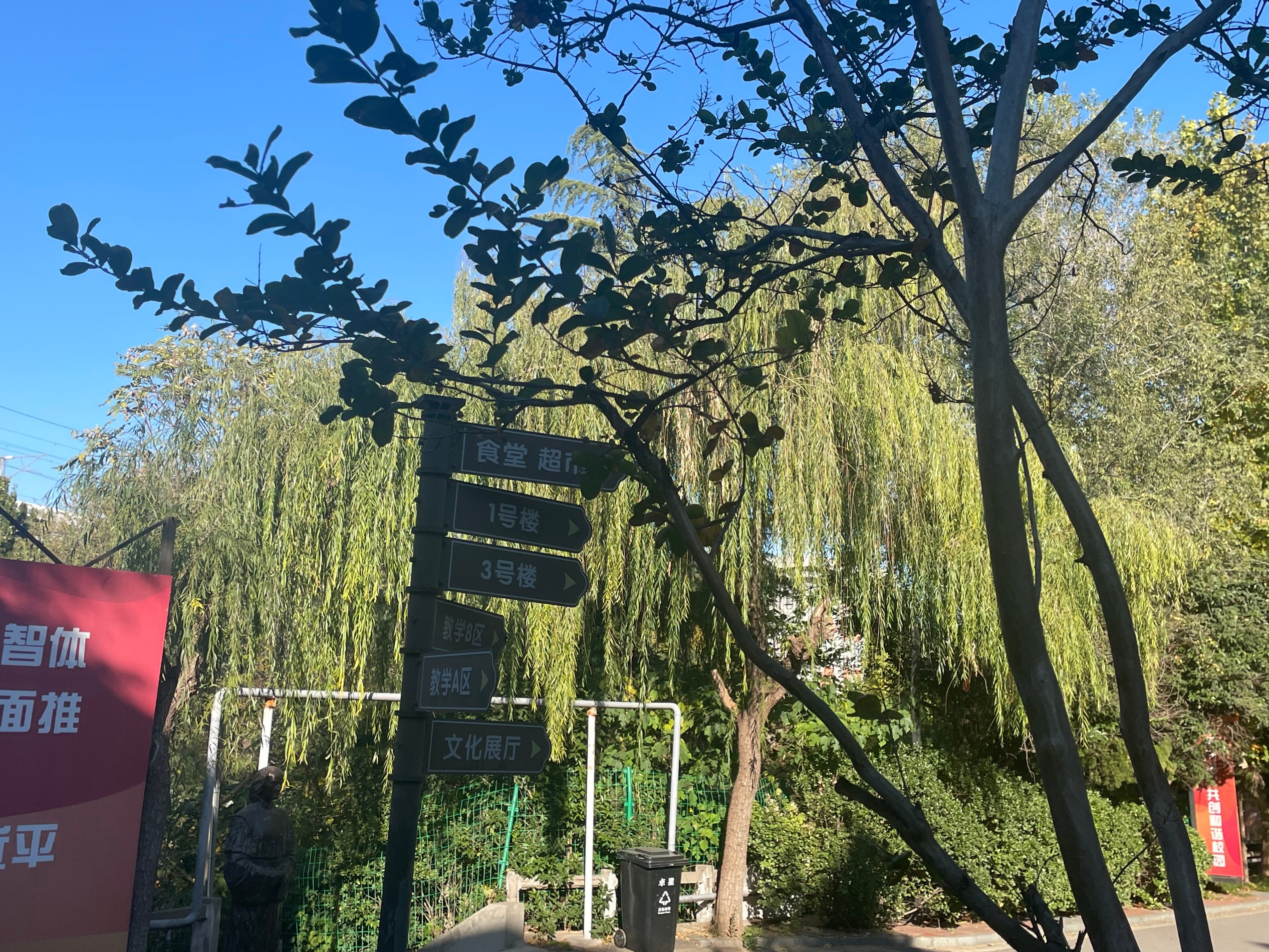 学校环境 (9).jpg