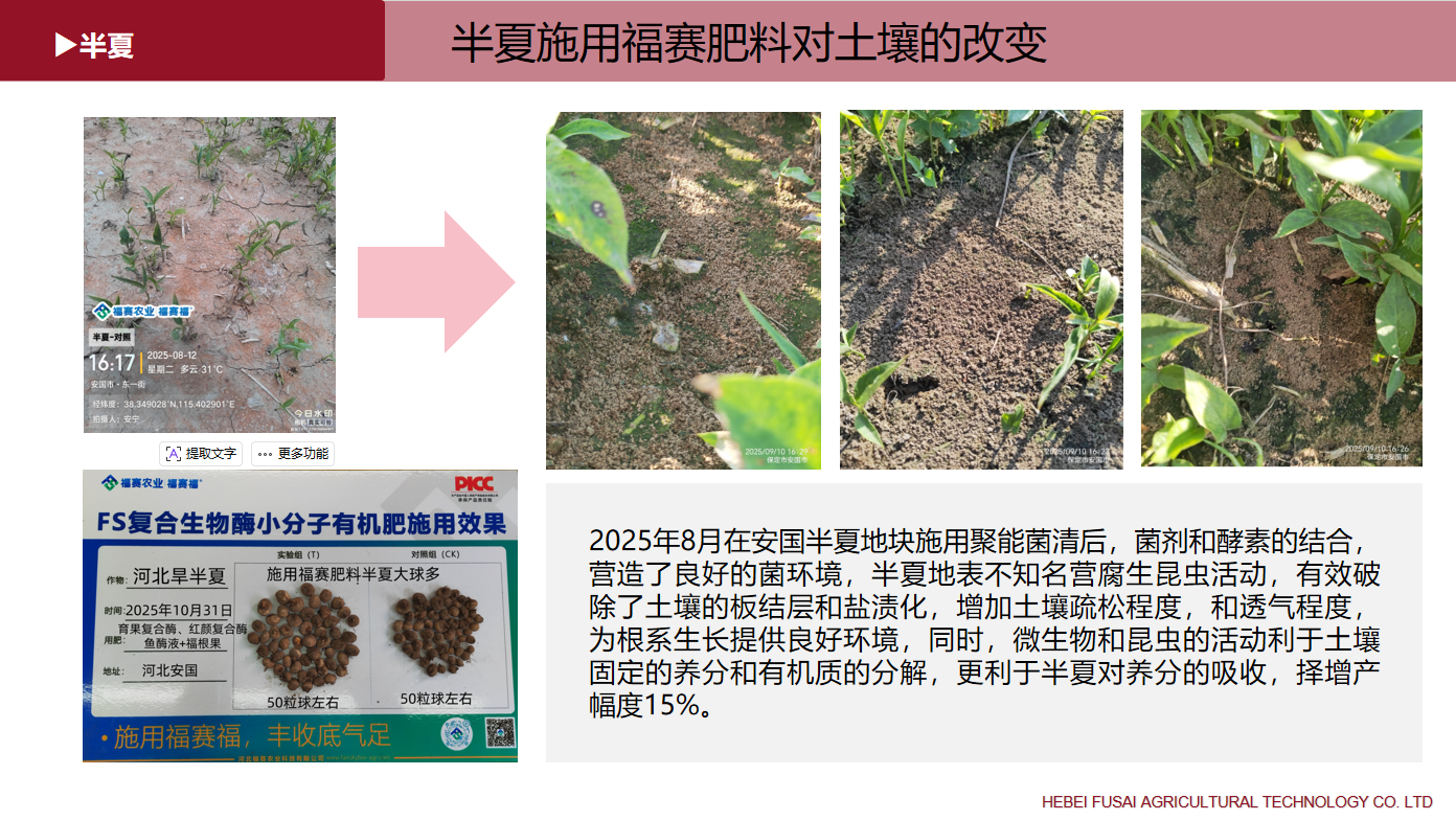 2026推荐：本草药酶肥品牌厂商口碑优选——河北福赛农业科技有限公司硬实力深度解读