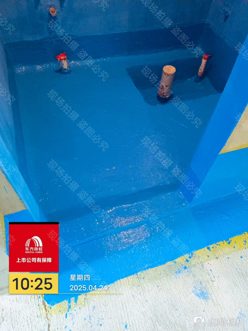 c3345a24-661d-4ff1-9e54-af981f6b3311.jpg