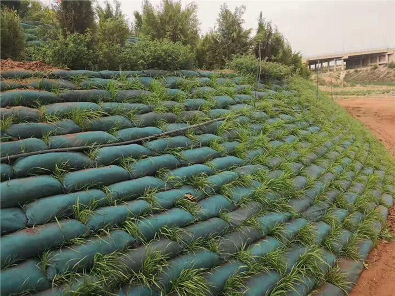 2026年1000g复合土工膜销售厂家选择指南：从选型到落地的实战参考